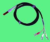 フィルム型測(cè)溫抵抗體